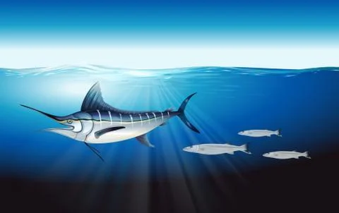 Atlantic blue marlin Stockillustratie