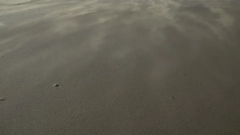 Atlantic Coast Strong Wind Sweeping the Sand, Argentina. Stock Footage 194649423