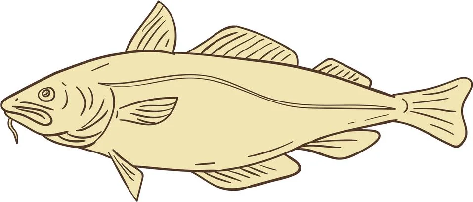 Atlantic cod fish side DWG Illustrazione stock