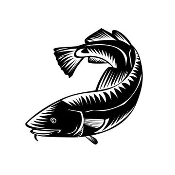 Atlantic Cod Gadus Morhua or Codling Side View Woodcut Style Black and White Stock Illustration