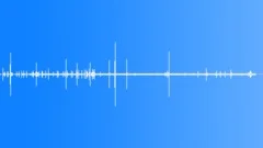Atlantic Forest Atmosphere MCU Sound Effect
