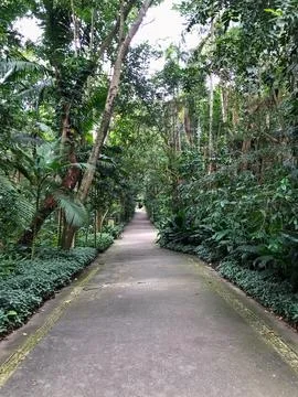 Atlantic forest park Stock Photos