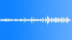 Atlantic Forest Recorded InSound Effect