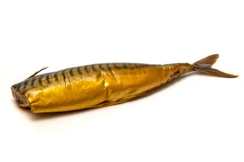 Atlantic mackerel Stock Photos