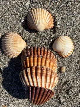 Atlantic Mosaic Stock Photos