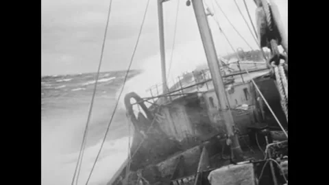 ATLANTIC OCEAN - 1955 - While trawling for cod, fishermen implement conservation Stock Footage 341512728
