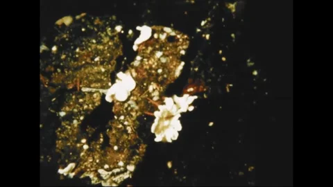 ATLANTIC OCEAN - 1964 - US Navy research scientists use a diving saucer to Stock Footage 340589719