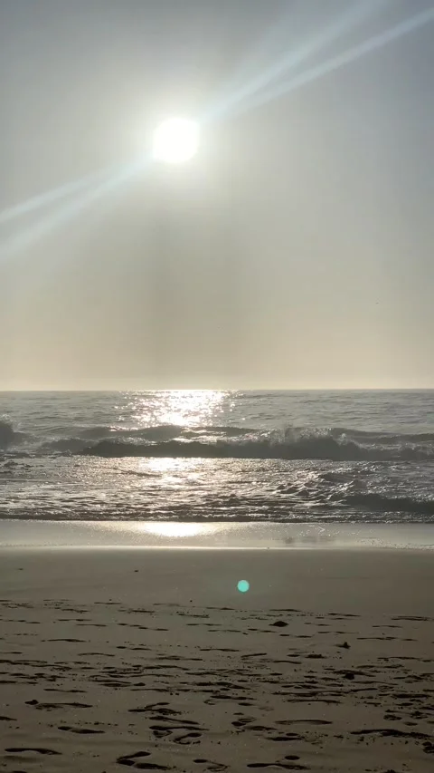 Atlantic ocean beach Stock Footage 319403149