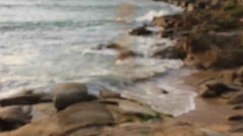 Atlantic ocean behind a plant moved by the breeze Stock Footage 258619161