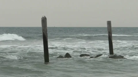 Atlantic Ocean coast 스톡 동영상 36589994