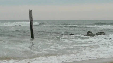 Atlantic Ocean coast Stock Footage 36590460