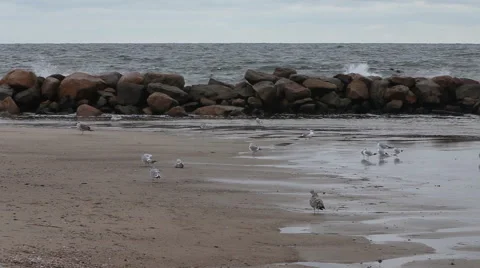 Atlantic ocean Stock Footage 46461797