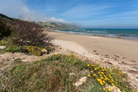 Atlantic ocean Stock Photos