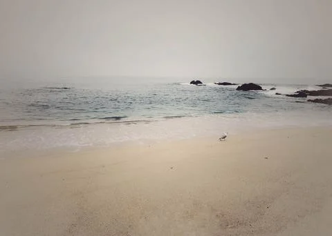 Atlantic ocean Stock Photos