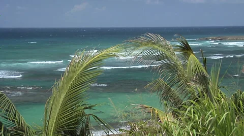 The Atlantic Ocean seen from Atlantic View Place Stock Footage 38620105