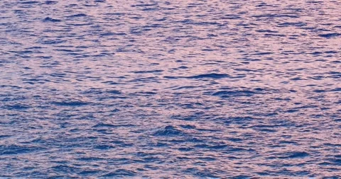 Atlantic ocean surface at sunset, sunrise. Close-up. Stock Footage 240355643