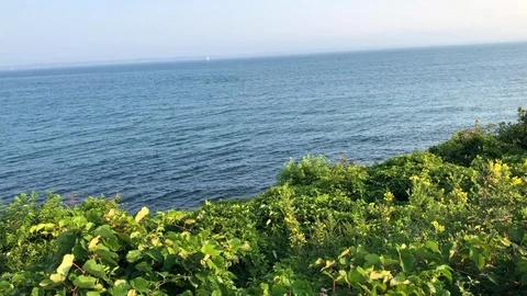 Atlantic Ocean View off coast Marthas Vineyard, lush greenery in foreground Stock Footage 96380882