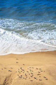Atlantic Ocean waves rolling toward sandy shore Stock Photos