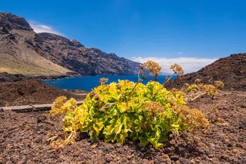 Atlantic Stock Photos