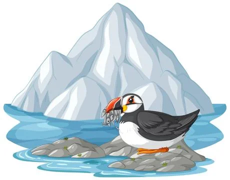 Atlantic Puffin Holding Small Fish in Beak Near Arctic Iceberg Stock Illustration