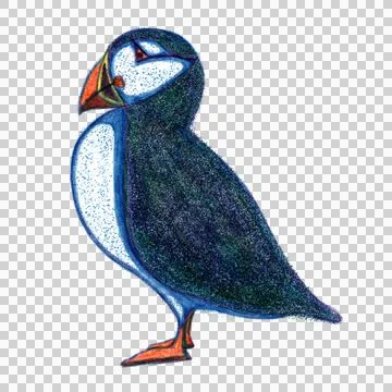 Atlantic puffin risograph retro illustration Stock Illustration
