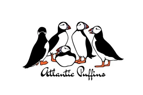 Atlantic puffins illustration Stock Illustration