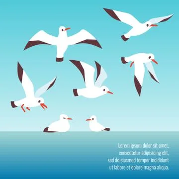 Atlantic seabirds flying background design Stock Illustration