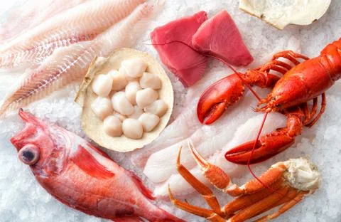 Atlantic Seafood on Ice Stock Photos