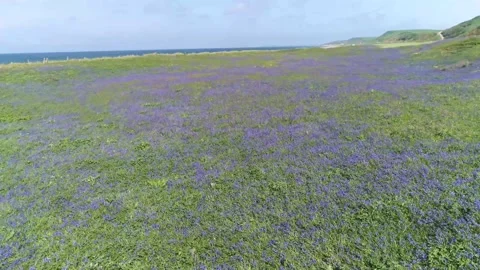 Atlantic side - Argyll and Bute (Beach - 9) Stock Footage 222782438