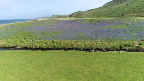 Atlantic side - Argyll and Bute (Beach - 8) Stock Footage 222782440