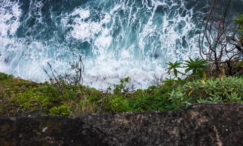 Atlantic surf pounds cliffside ledge and succulents in Madeira Stock-Fotos