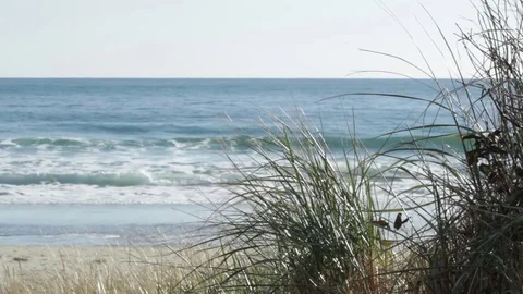 Atlantic waves on sandy beach through dune grass Stock Footage 83666780