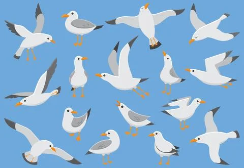 Atlantic white seabird fly at sky. Beach seagull at quay. Sea birds, gull c.. Stock Illustration