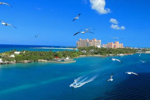 Atlantis in bahamas Stock Photos