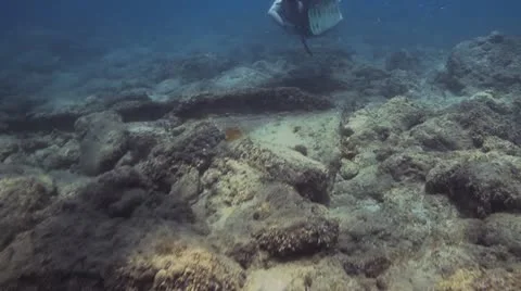 Atlantis Stock Footage 11233138