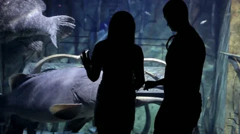 Atlantis.mp4 Stock Footage 21324726
