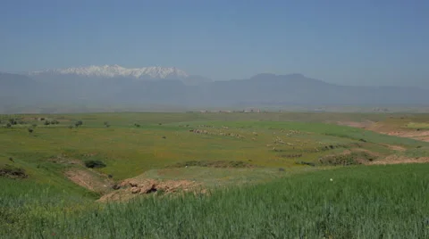 Atlas mountains morocco grazing fields Stock Footage 49984405
