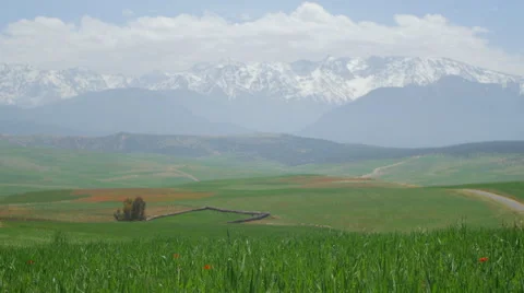Atlas mountains morocco green fields Video stock 49986218