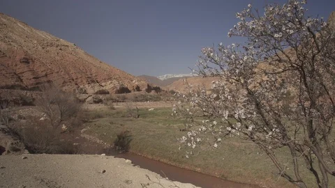 Atlas mountains view almond flower snow morocco marruecos marrakech river Stock Footage