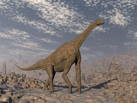 Atlasaurus dinosaur in the desert - 3D render Stock Illustration