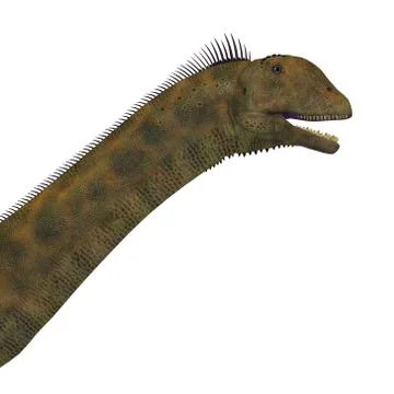 Atlasaurus Dinosaur Head Stock Illustration