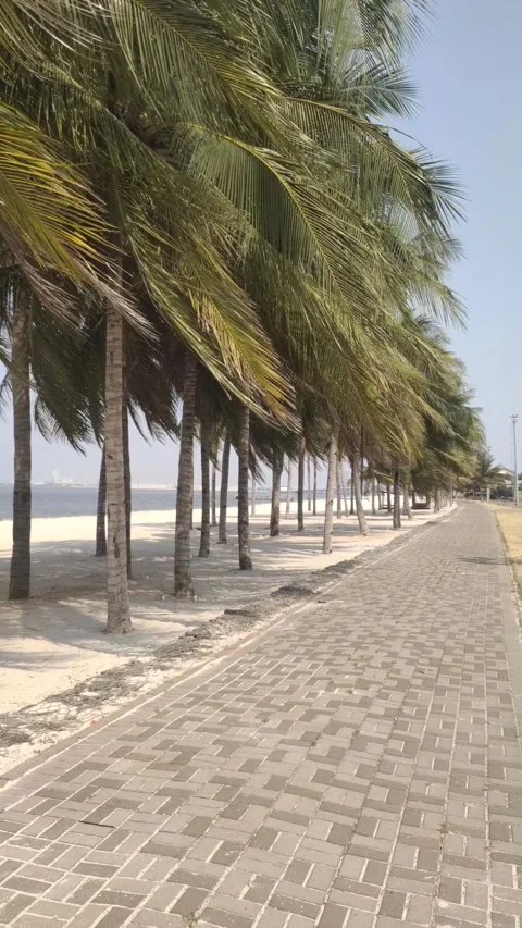 The Atmosphere of A Beach Walkway Video stock 346797925