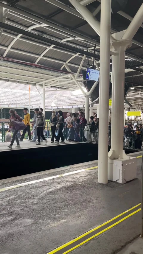 The atmosphere at a busy train station Stock Footage 296452313