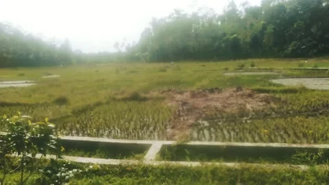 The atmosphere in the countryside Stock Footage 220817297