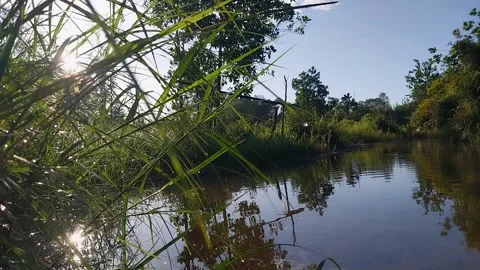 The atmosphere is on the edge of a small river Stock Footage 195927223