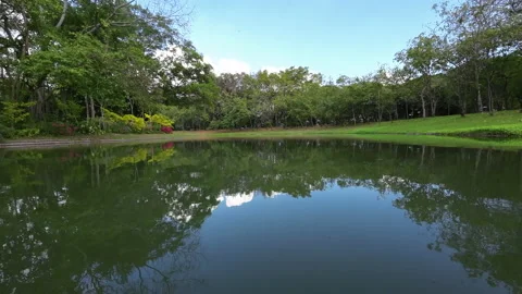 Atmosphere in the garden Stock Footage 175333655