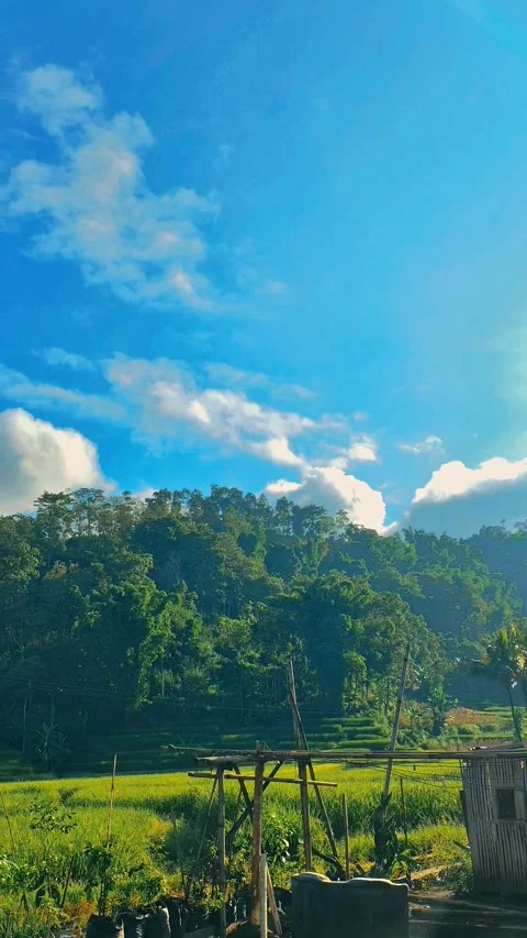 Atmosphere in the middle of the countryside Stock Footage 273720066