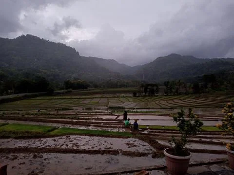 Atmosphere of mountains and rice fields Stock Photos