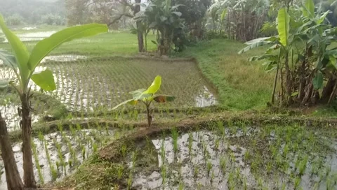 Atmosphere in the Mountains Video stock 245889528