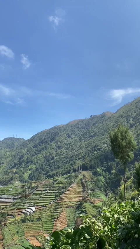 Atmosphere in the mountains in Wonosobo, Central Java, Indonesia Stock Footage 295011836